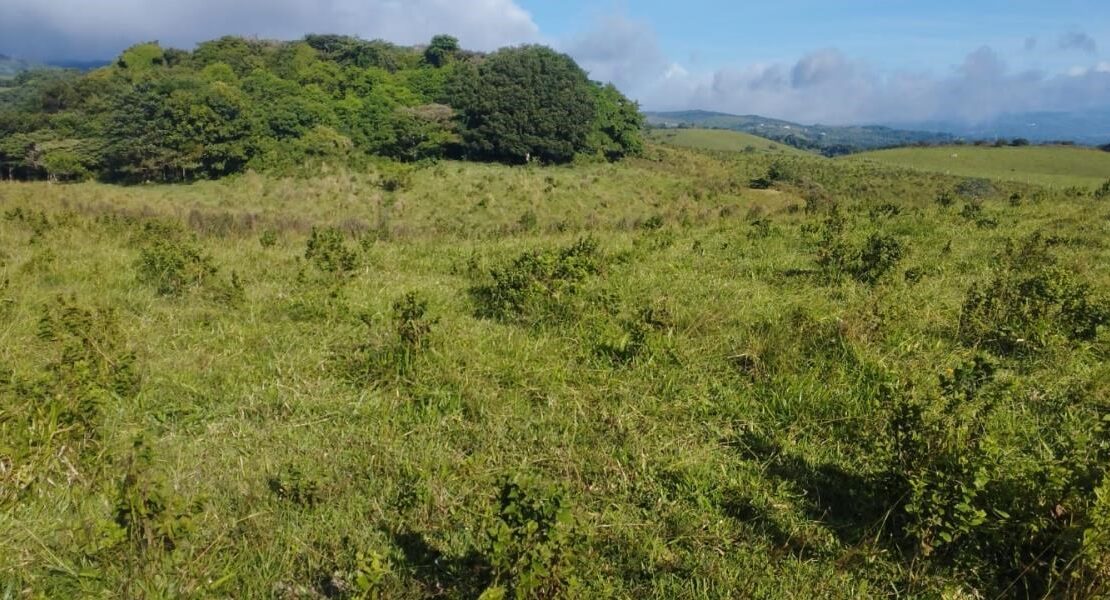 Lakeside Paradise Exclusive PreSale of 65 Prime Lots in the Arenal