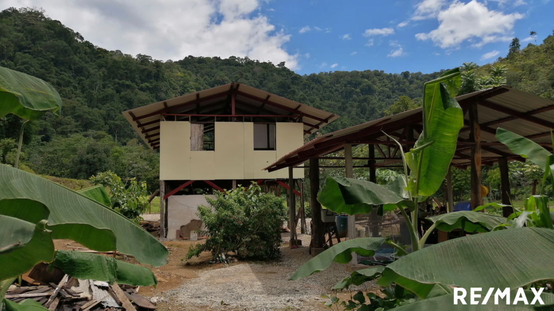 Guaycará Real Estate