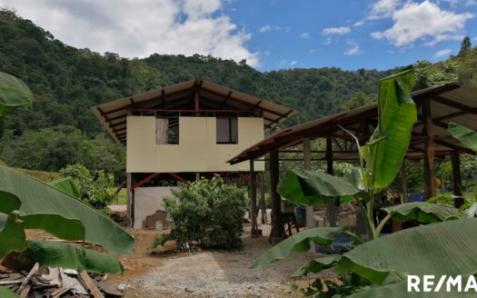 Guaycará Real Estate