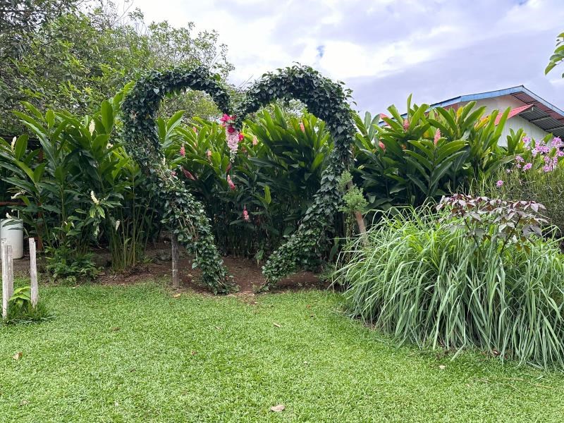 FOR SALE Unique Property near Bijagua, Perfect for Nature and Cacao