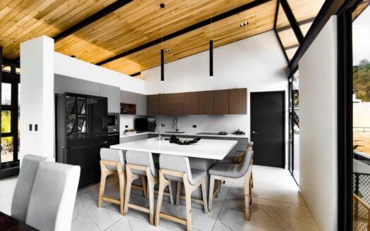 LUXURY NEW FURNISHED HOUSE FOR SALE IN PALMARES.