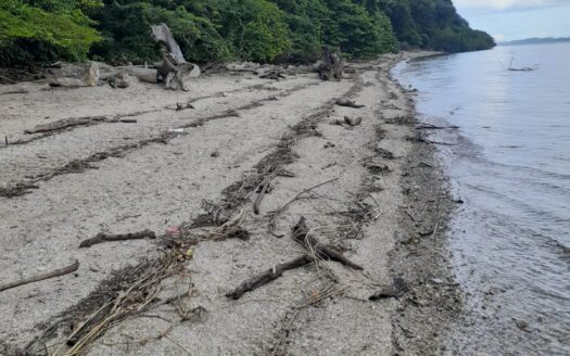 7 km of BEACHFRONT!!!! 937 acres!!! For CHEAP!!
