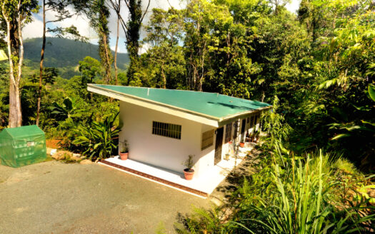 Quepos>Savegre For Sale 30074 | RE/MAX Costa Rica Real Estate