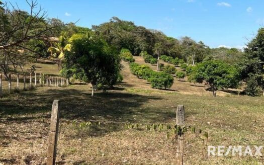 Beautiful Farm for sale