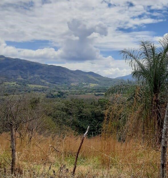 View lot with plenty of usable area in Atenas - Escobal