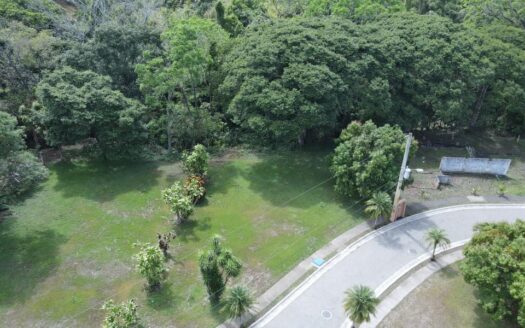 A Match Made in Nature