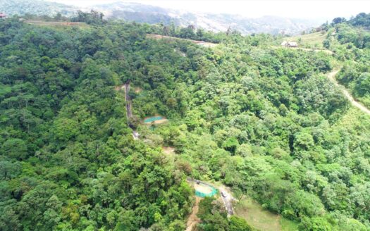 Easy Access, 60 acre farm with 10 building sites and waterfall.