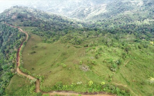 276 acres, 3 spectacular ocean view farms bordering together.