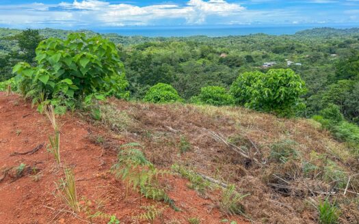 FIRE SALE!! 5 Acre Lot With A Sweeping Ocean And Sunset View, Ojochal Phase 9. LEGAL WATER!