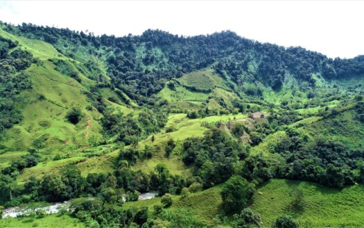 204 Acre Expansive and Remote Paradise!