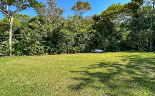 A prepared, 1.5 Acres jungle immersed lot with spectacular views of the Whale’s Tail
