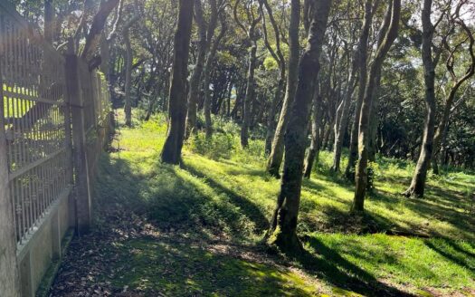 Land For sale, Grecia Costa Rica