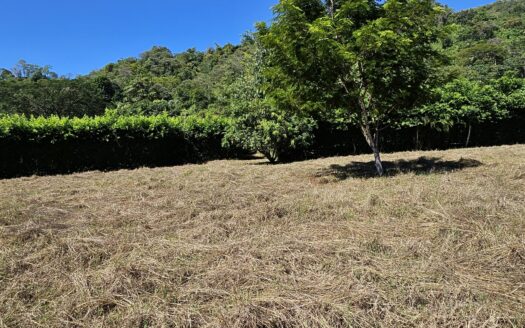 Large Building Lot