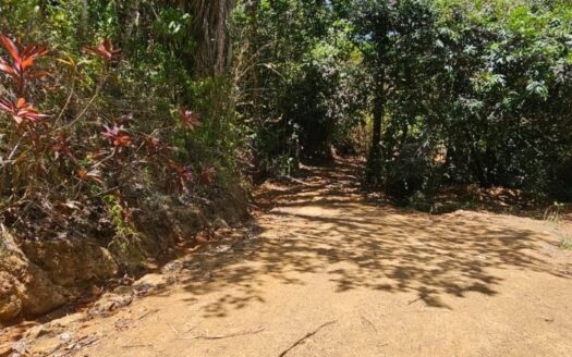Secluded Oceanview Lot