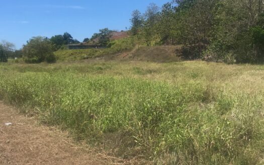 Highway Frontage Commercial