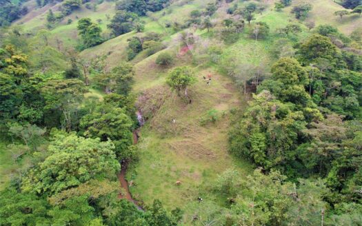 Farm for sale, San Luis, Zarcero