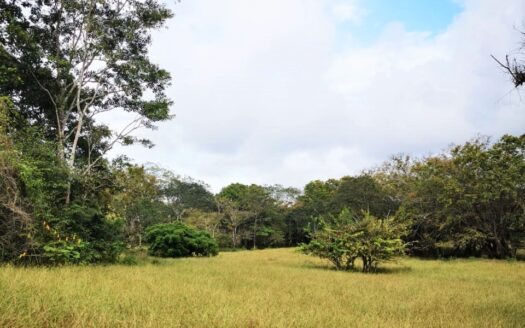 Private Lot, flat topography in a Private Community, Close to Santa Teresa.