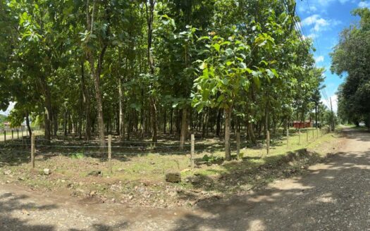 Ready-to-build flat lot in Cortez Lot 2