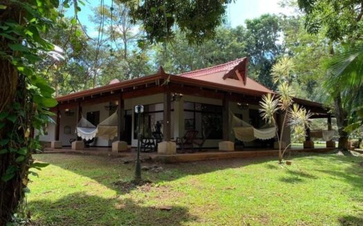 Property in the Heart of San Mateo – Your Prime Real Estate Opportunity