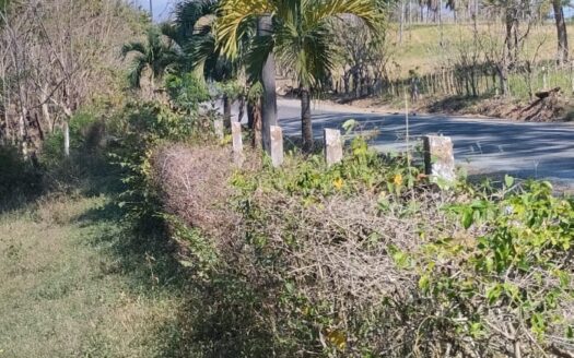 La Ceiba Trinidad Vieja Orotina