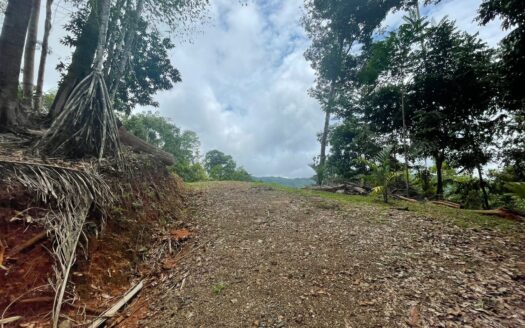 Pérez Zeledón For Sale 30440 | RE/MAX Costa Rica Real Estate