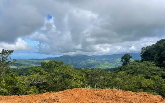 Pérez Zeledón For Sale 30460 | RE/MAX Costa Rica Real Estate