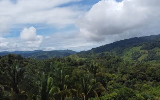 Pérez Zeledón For Sale 30645 | RE/MAX Costa Rica Real Estate
