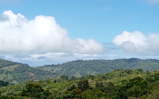 Pérez Zeledón For Sale 31458 | RE/MAX Costa Rica Real Estate