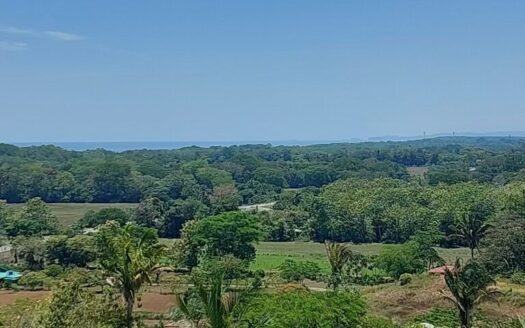 New gated community of 1.25 acre lots