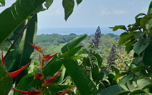 Amazing ocean view lot close to town & beach