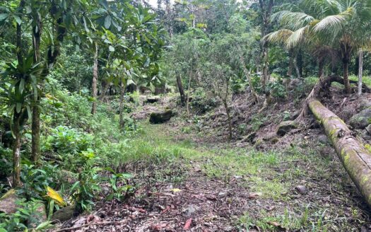 Majestic river front  property in the beautiful town of Silencio