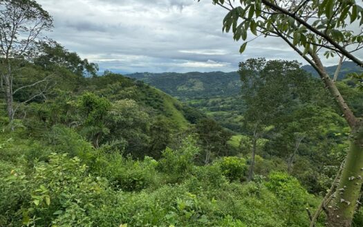 Ocean view property – Great Opportunity on Sale , Desmonte San Mateo