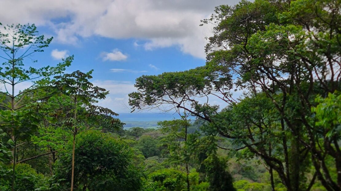 Eco-Friendly Retreat in Portasol