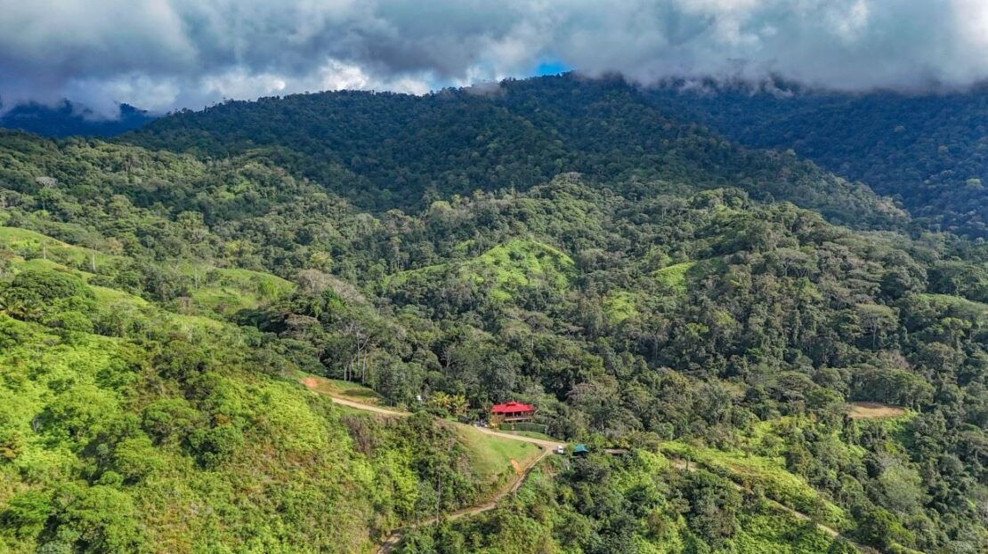 mountain & mangrove views from a 2-home jungle property with lush rainforests