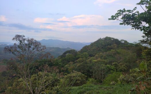 Finca “La Tigra” for Sale in Costa Rica – Unique Opportunity in Lepanto, Puntarenas