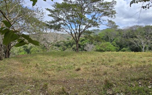 Secluded 2-Hectare Paradise by the River