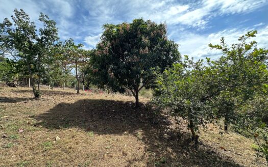 Escape to paradise! Exclusive property for sale Bajamar Beach