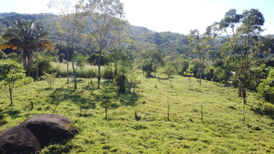 Costa Rica Real Estate