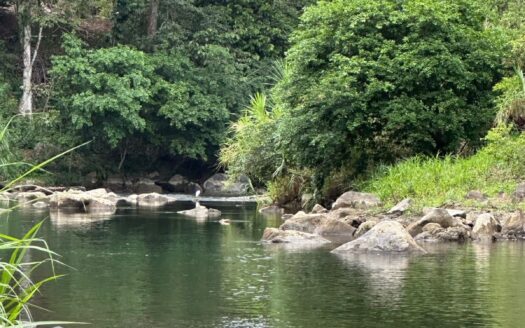 FOR SALE: 2.49-Hectare Land Bordered by a Large River between Bijagua and Upala