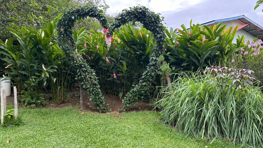 Upala