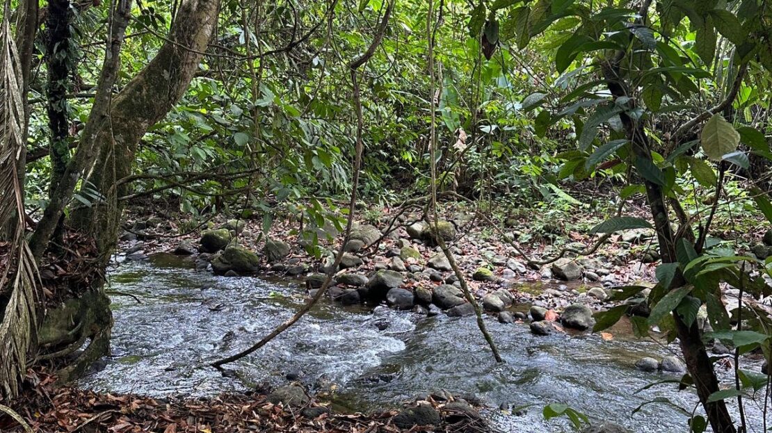 Costa Rica Real Estate