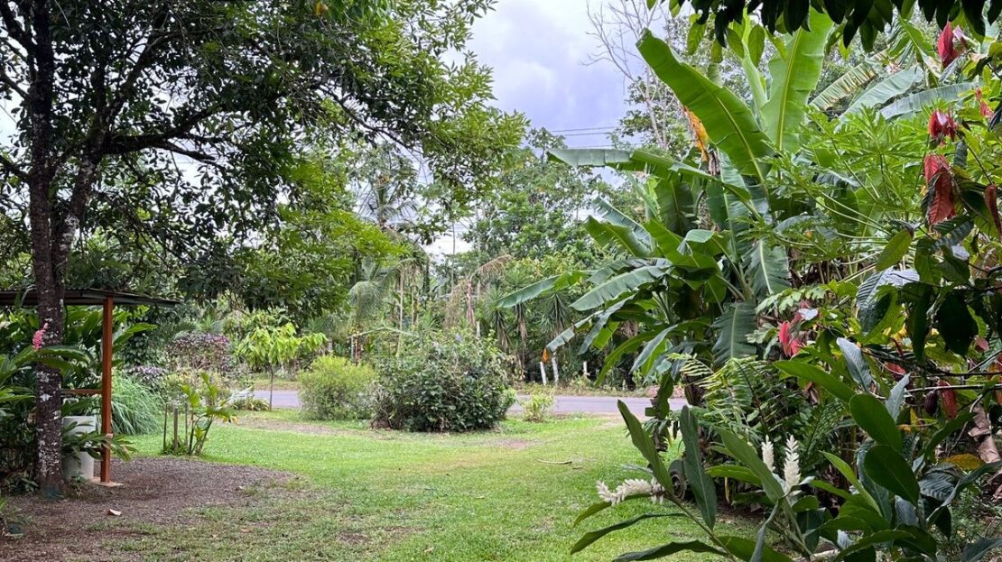 FOR SALE: Unique Property near Bijagua