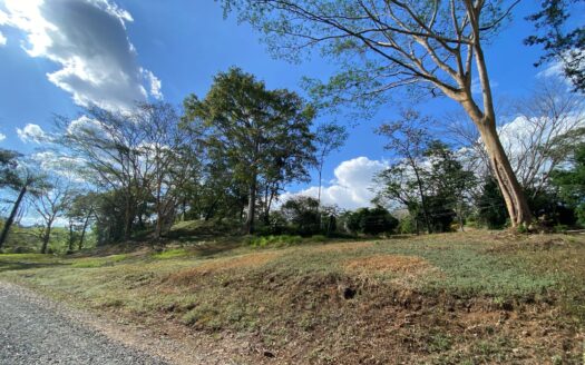 Exclusive Lots for Sale in Quintas Casa de Campo Gated Community