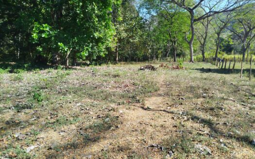 Exclusive Property for Sale in Coyolito de Manzanillo, Puntarenas 🏡🌿