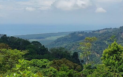 200 acre ocean view land at a reasonable price