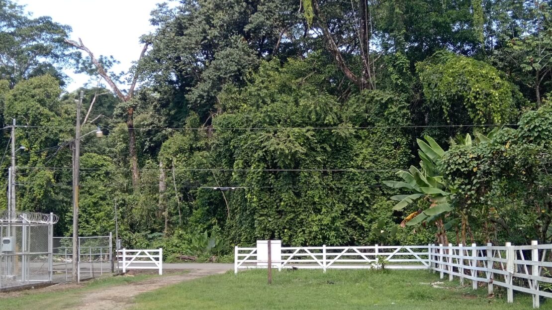 Quepos>Savegre For Sale 30711 | RE/MAX Costa Rica Real Estate