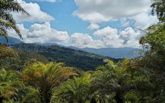 La Esperanza Land, Tierras Morenas.
