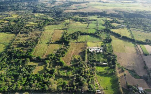 58-hectare property-Unique Investment Opportunity -San Mateo, Alajuela! 🌳