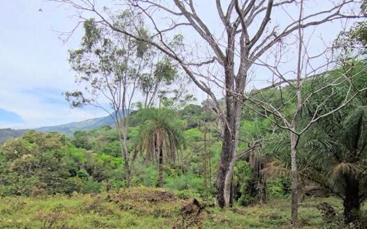 Exceptional Land for Sale in Cerro Maderal, San Mateo