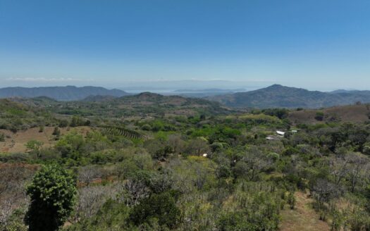 Breathtaking 360° Views | Profitable Coffee & Orange Farm